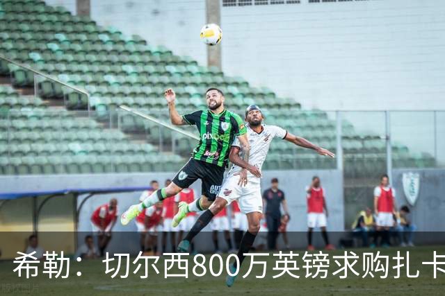 希勒：切尔西800万英镑求购扎卡太离谱，上赛季他是英超最佳之一